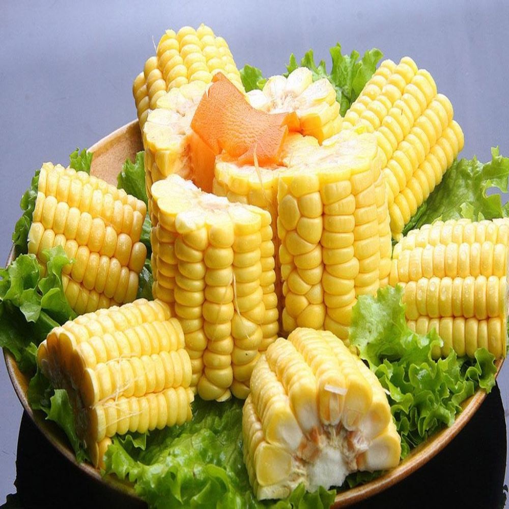 Замороженная IQF Органическая сладкая кукуруза на Cob в замороженной Кукурузе