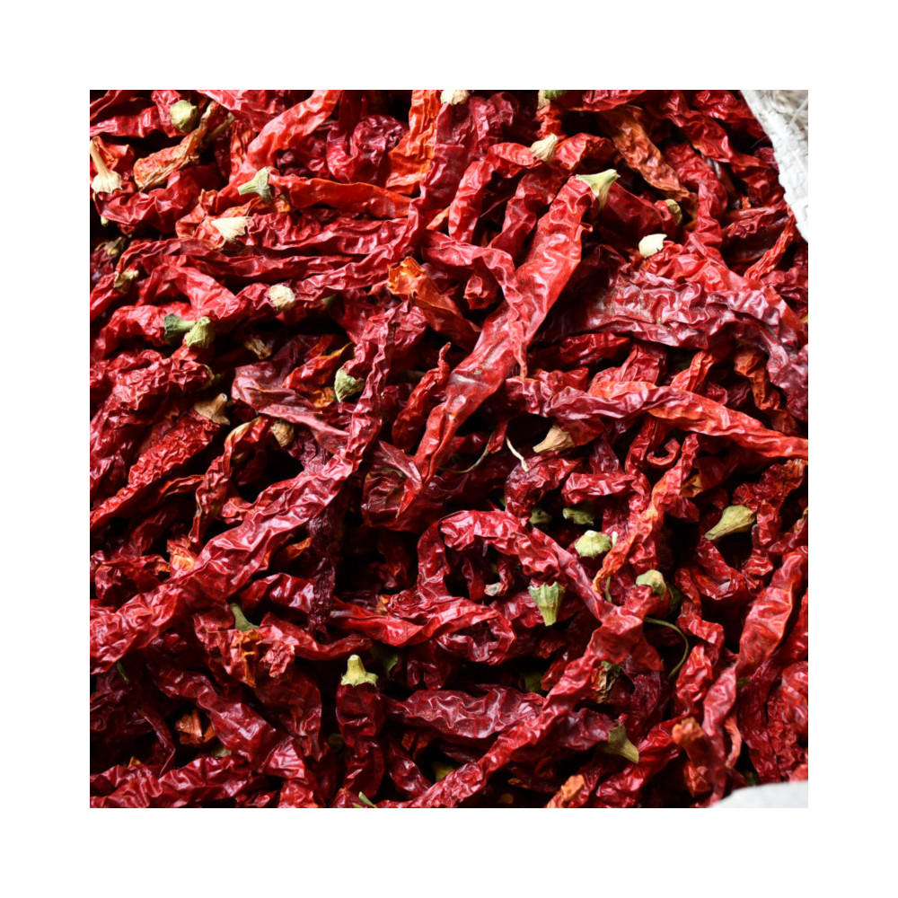 Hot Selling High Quality Dry Red Shanxi Qin Tot Chili Pepper