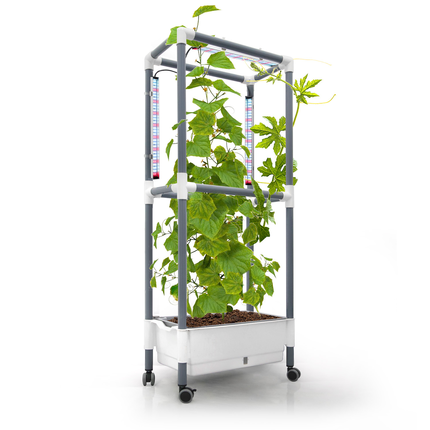 Indoor Raised Garden Trellis Support Home Grow Kit For Rattan Flowers or Climbing Vegetables Planter With Led Grow Light