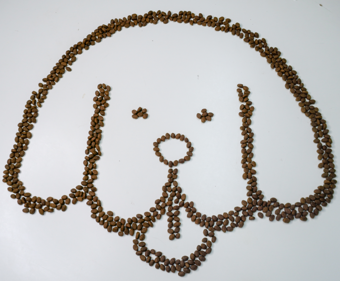 OEM Бестселлер royal canin высокое питание высокий протеин собачья сухая еда корм для домашних животных
