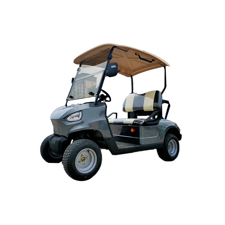 2021 Manufacture New Design 4 Wheels Electric Golf Cart 2 Seats