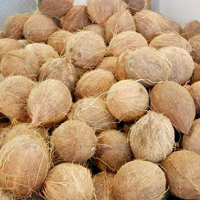 SEMI HUSKED COCONUT FROM VIET NAM WHATSAPP +84986399409