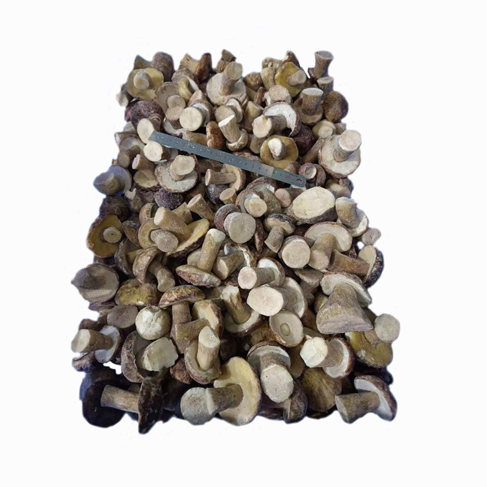 Wholesale of fresh wild boletus frozen slices in Yunnan, China in 2024, with plump, sweet, and delicious meat