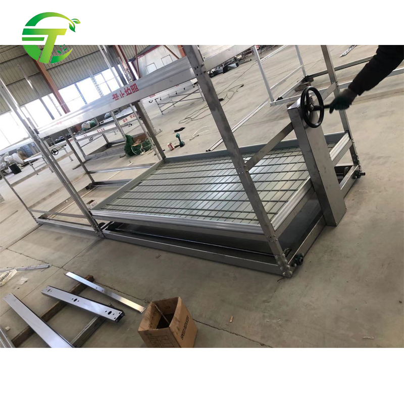 Tianjin Chamtop multi-layers hydroponic growing flood table with stand and wheels