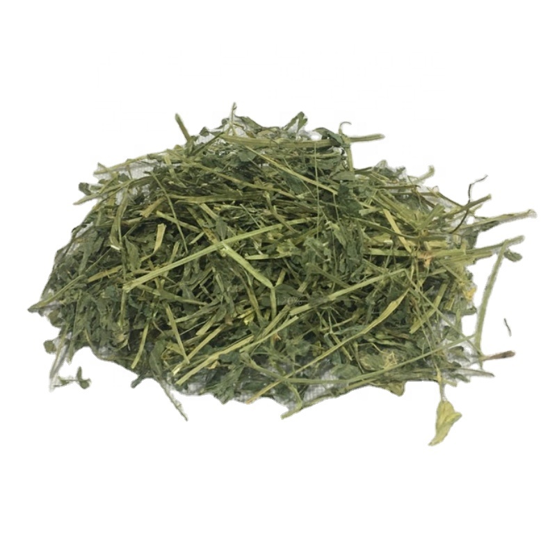 Premium Quality Lucerne Alfalfa Hay from United States