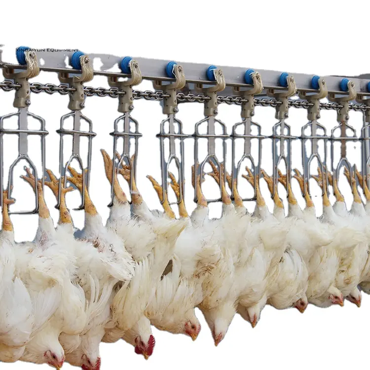High quality poultry processing equipment for chicken slaughter line