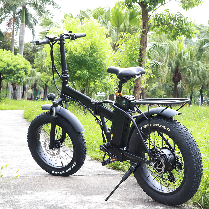OEM double cushion city long range hub motor off road fat electric bike