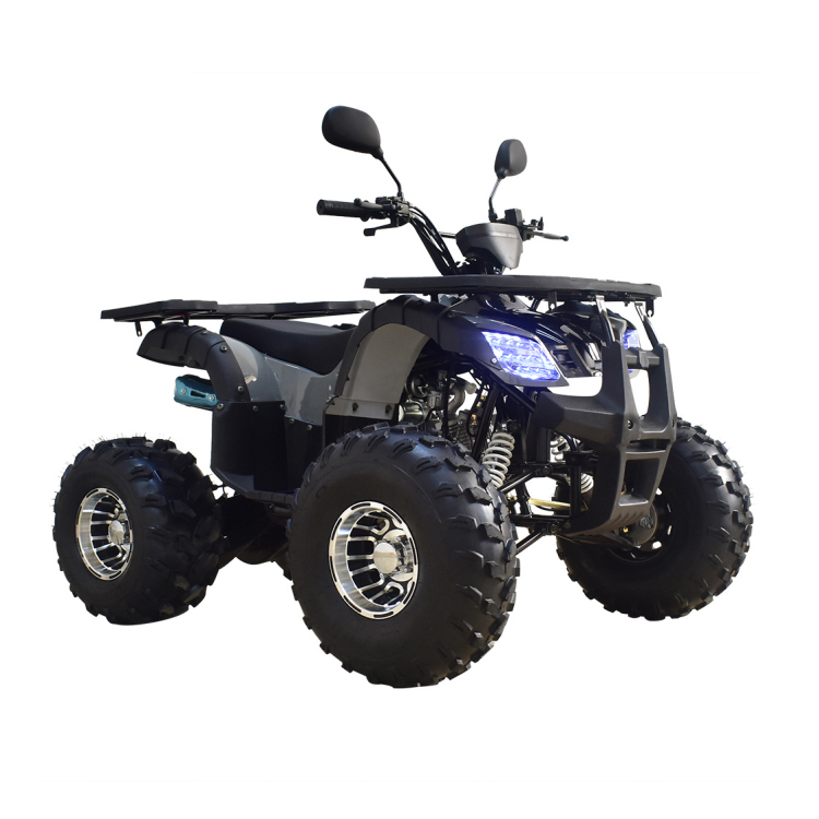 125cc 1+1 engine(alloy cylinder),shock proof frame,double hole swing arm,meter,alloy rear fork for adults atvs 125cc