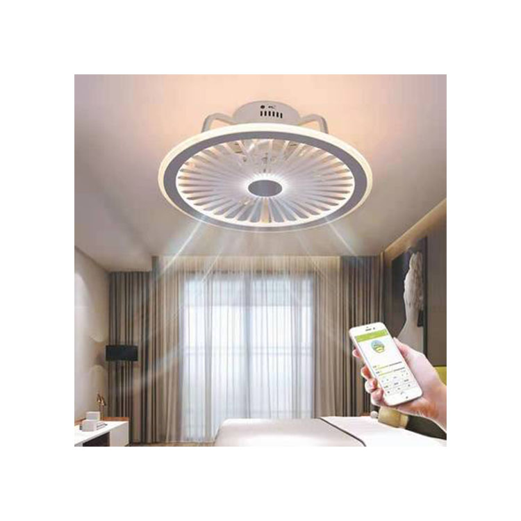 Guaranteed Quality Proper Price Durable Using Factory Manufacture Various Ceiling Fan Light