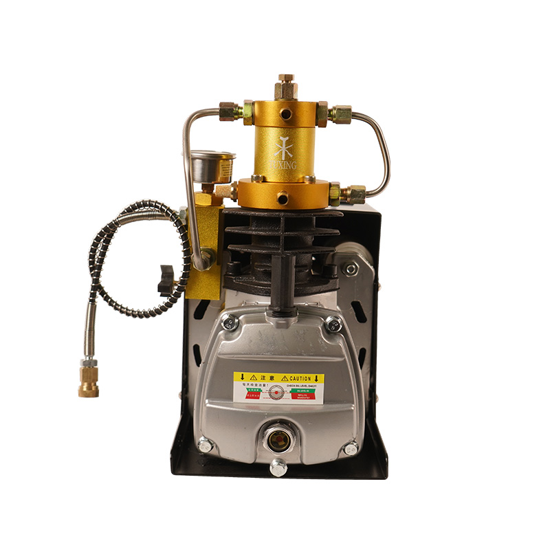 TUXING 4500psi 300bar 220V PCP Электрический насос, подводный компрессор для пневматического пистолета