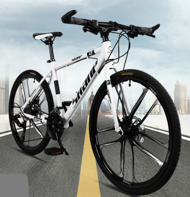 Mountain bike 21 speed bicycle Unisex bike Student Teen bike in China