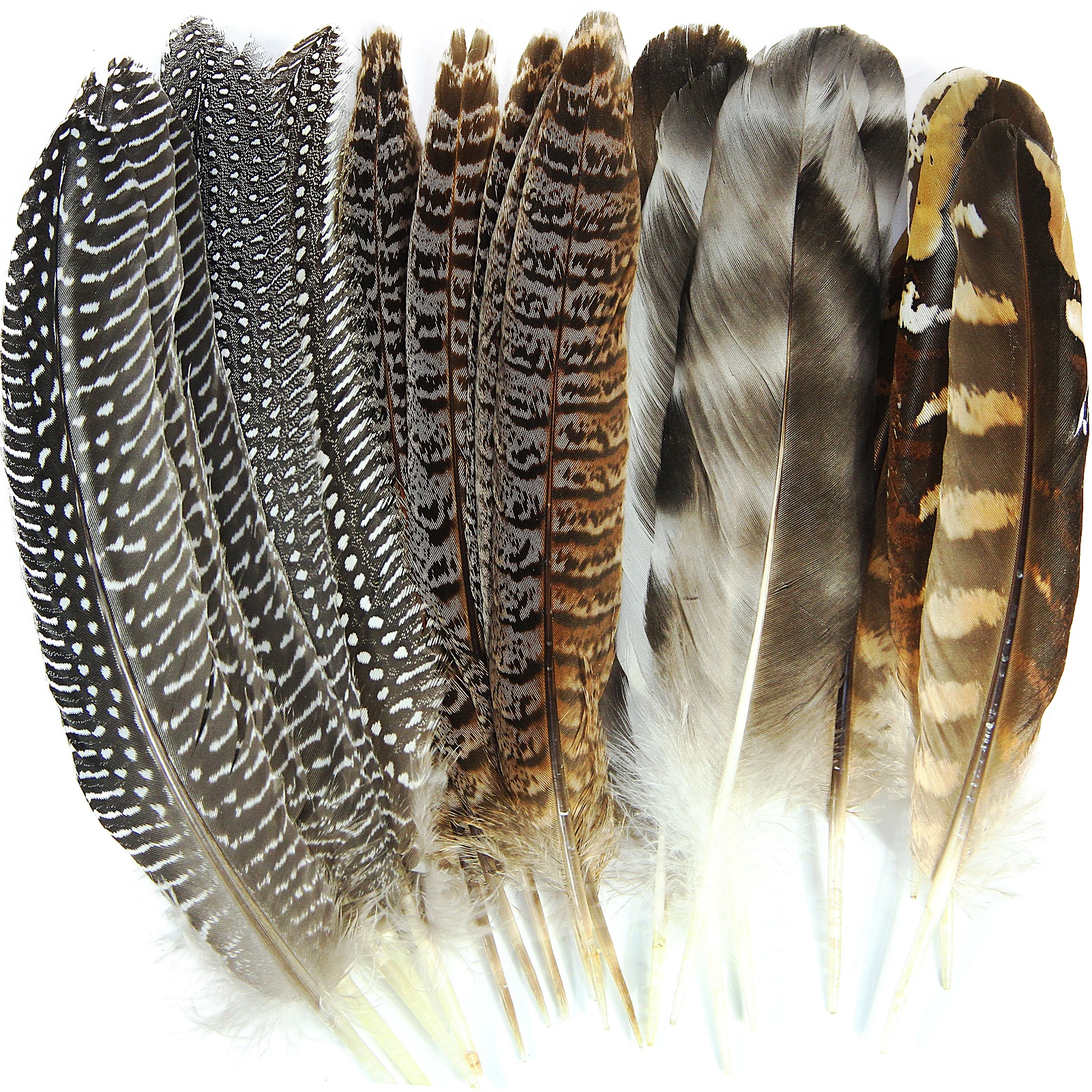 Wholesale high quality mix pheasant feather small natural pheasant feathers for festival carnival