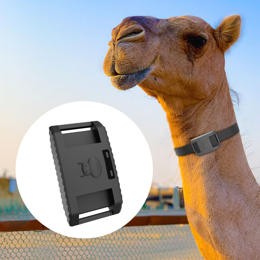 10000mAh Solar Power Waterproof Voice Monitoring Anti-remove SOS Alarm 4G GPS Tracker for Animal Sheep Cow Cattle