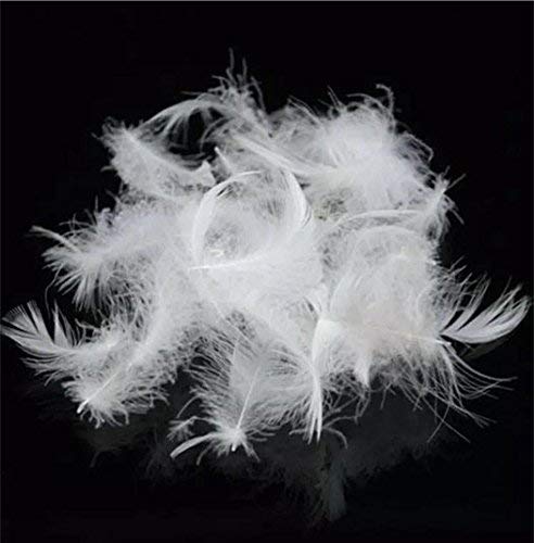 Wholesale 4-6cm goose feather for pillow