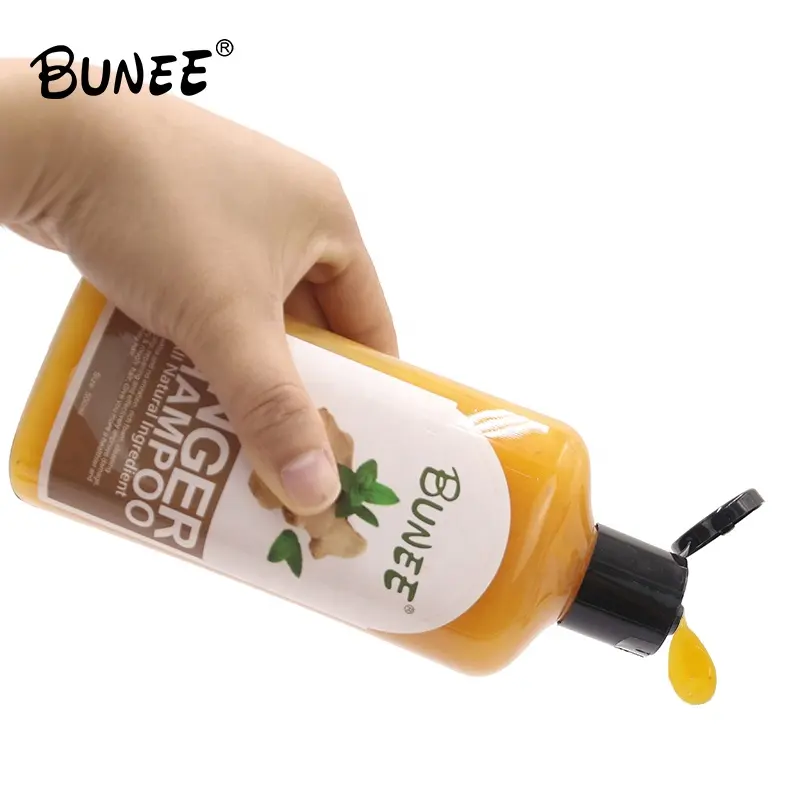Natural Smoothing Hair Care Organic Shampoo Ginger Glycerin Extracted Anti Dandruff 500ml Hair Shampoo Customize