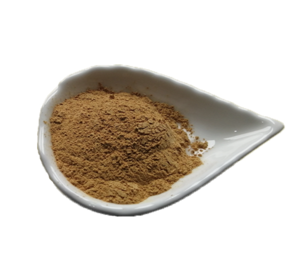 Organic Reishi Lingzhi Ganoderma Lucidum Mushroom Extract