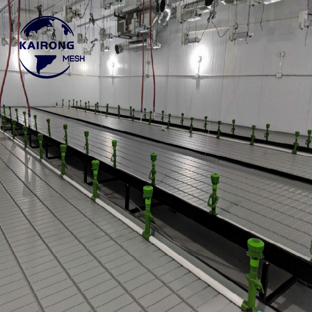 Professional Factory Greenhouse Growing Hydroponic Seedbed System Bench