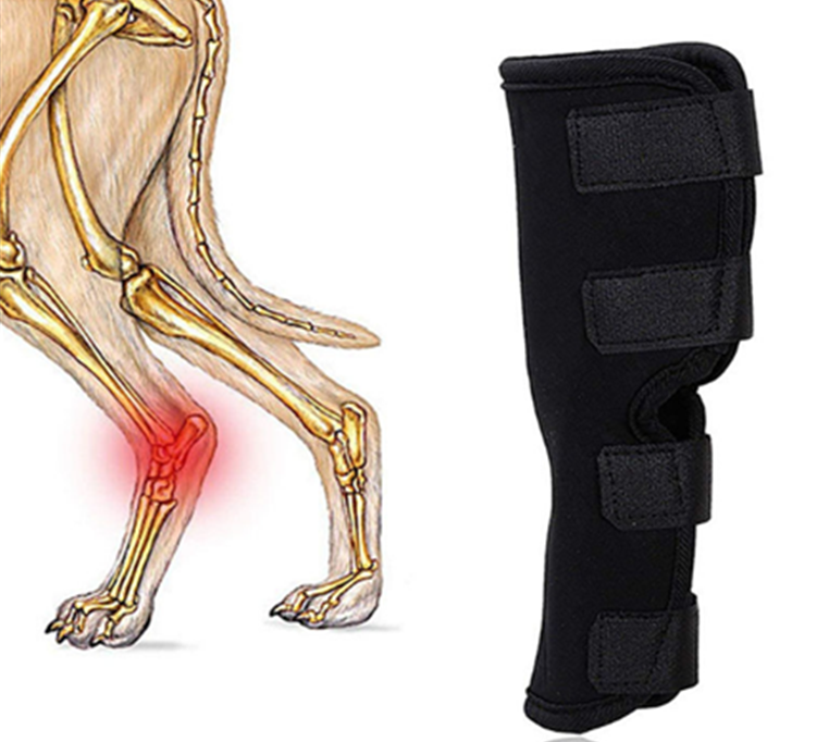 High Quality Outdoor Compression Dog Hock Brace Pet Supportive Rear Leg Wrap Protects Wounds and Injury