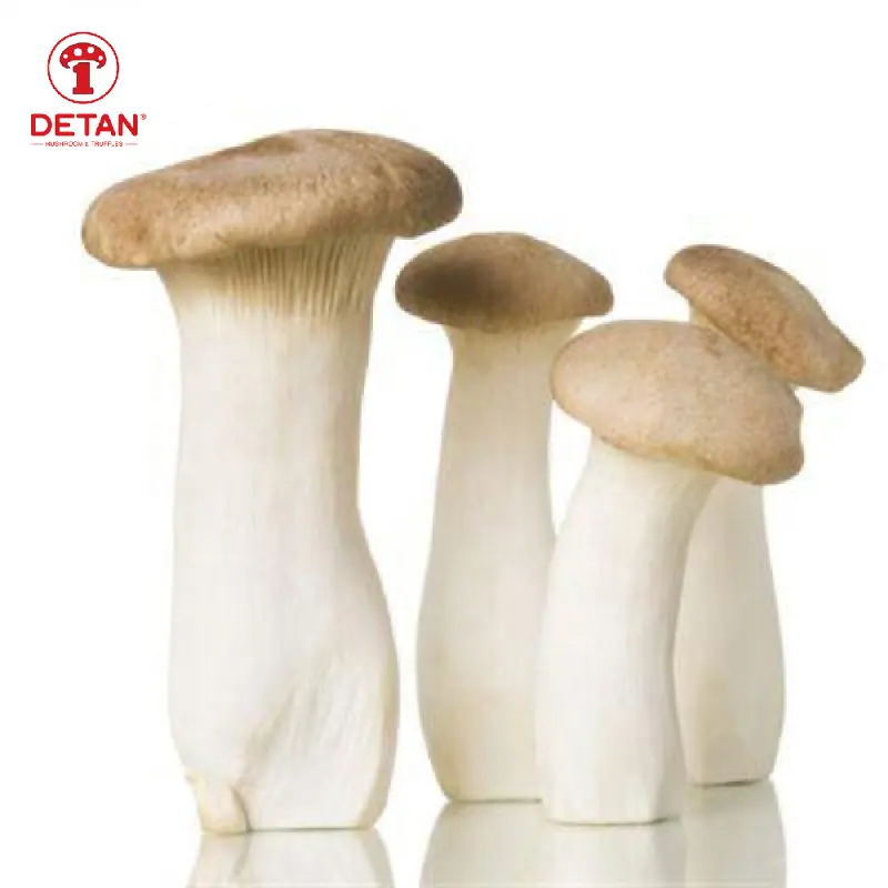 Detan High Quality Factory Growing Fresh Mushroom Cultivated Eryngii King Oyster
