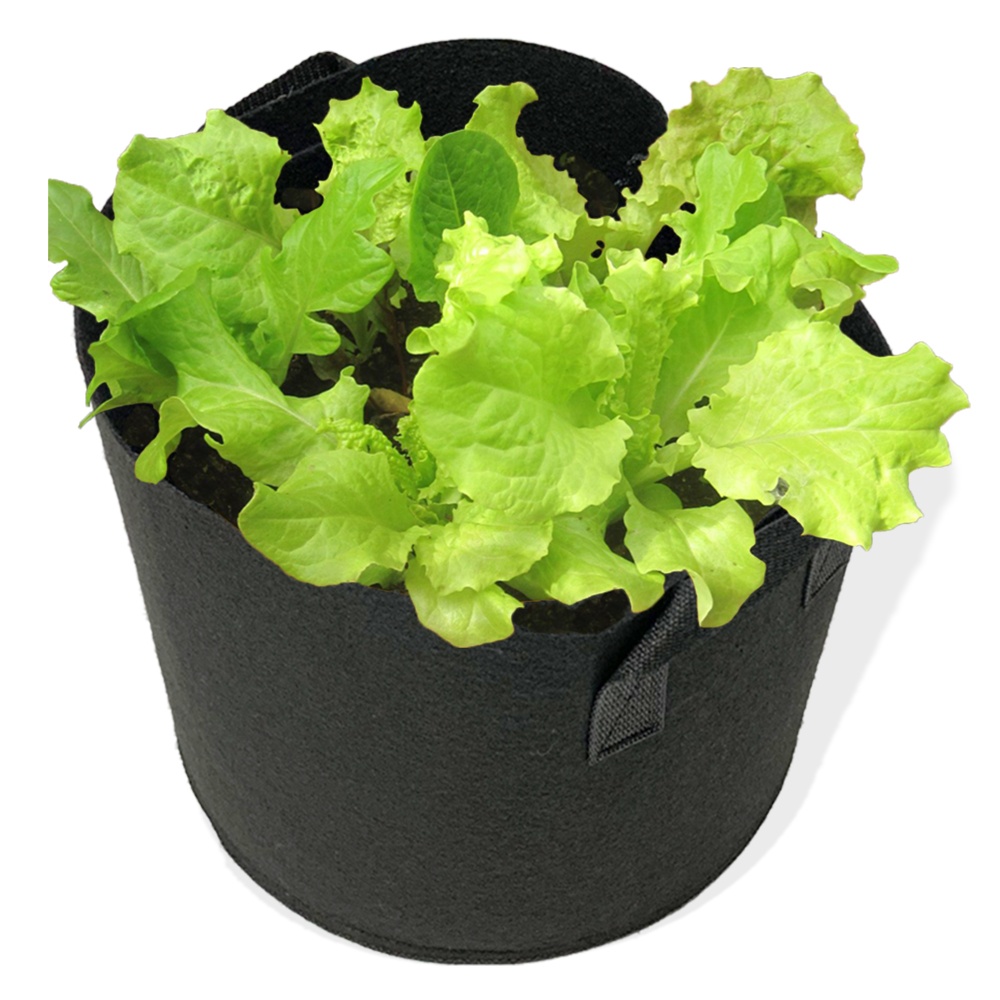 Amazon hot sale nonwoven fabric strawberry plant pot 3 / 5 / 7 / 10 gallon fruit grow bag