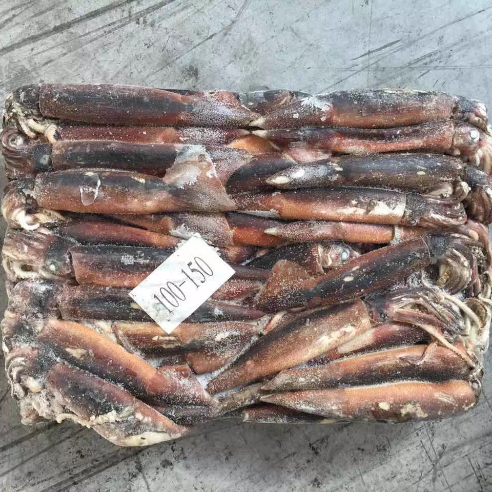 Frozen/Fresh Argentina Illex Squid Seafood Wholesale