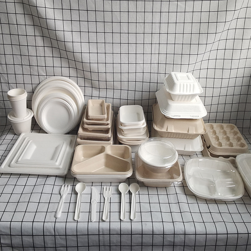 Disposable bagasse food container paper pulp , cups, plates, clamshell