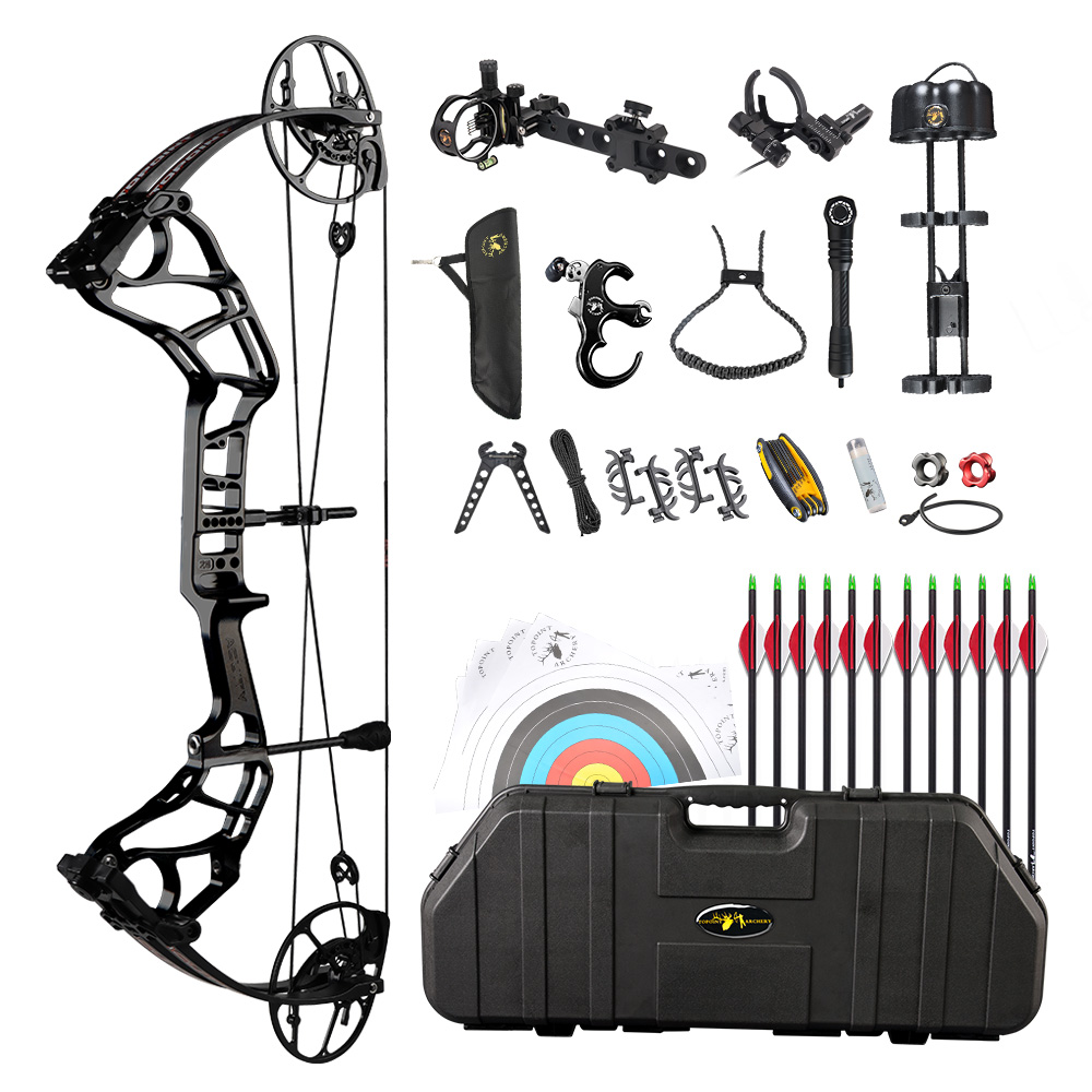TOPOINT Acuity 31 Luxury Package Hunting Compound Bow For Pro With CNC Milling Riser Gordon Composites Limb BCY Bow String