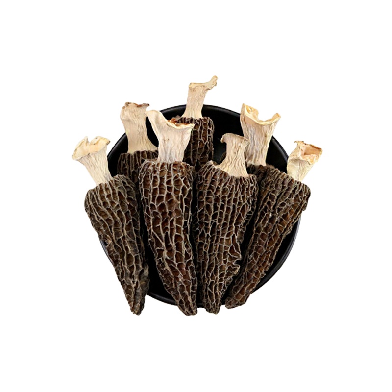 В массовой продаже Сушеные Morchella Esculenta поставить гриб сморчок икру