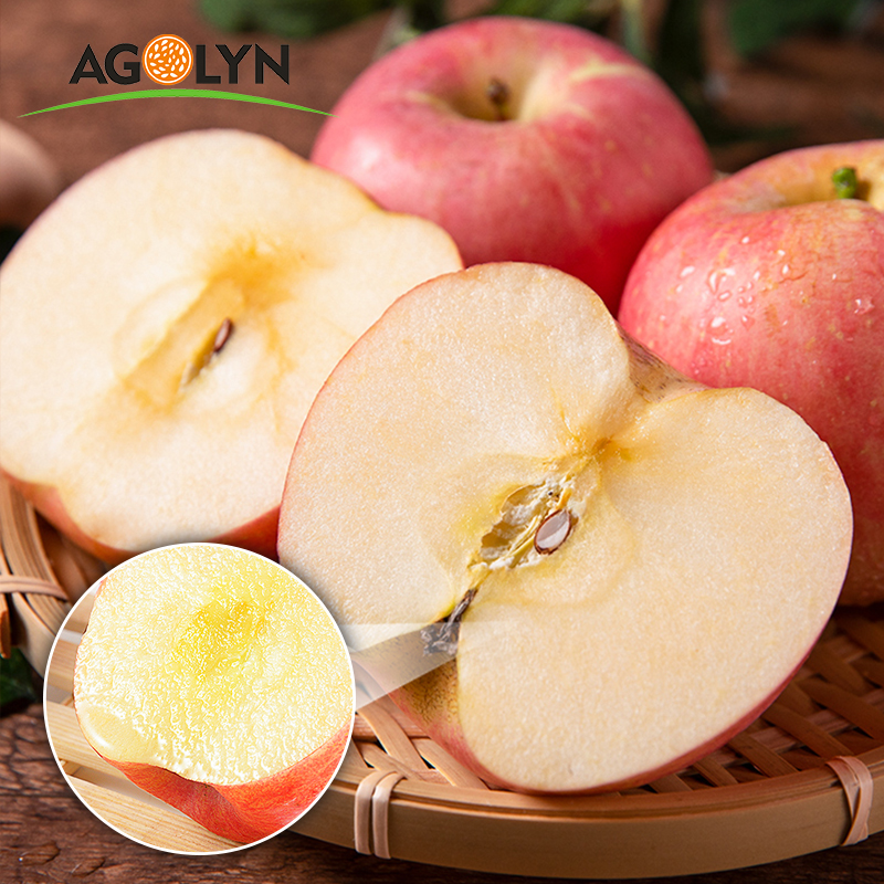 AGOLYN Китайский Лидер продаж высокое качество свежий красный Fuji Apple