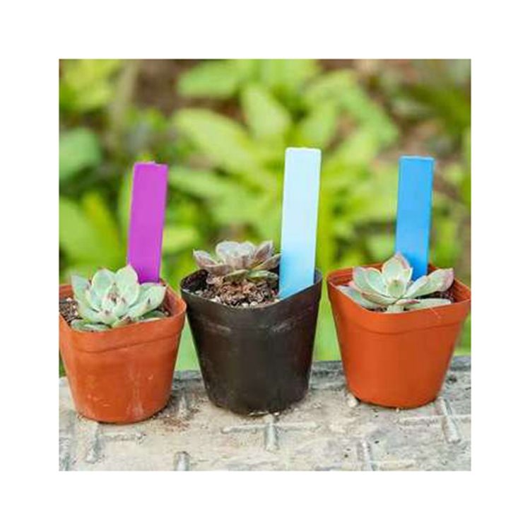 100 Pcs Plastic For Plant Garden Stake Tag Label Seed Plant Marker