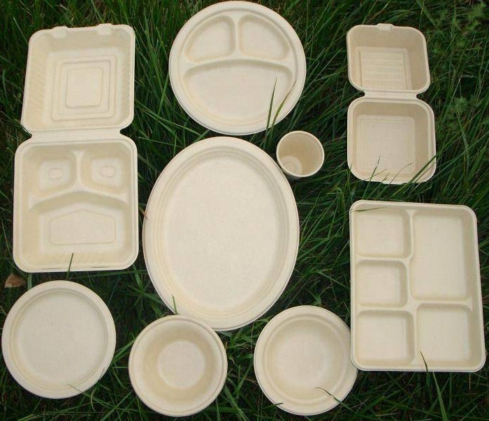 10 inches 3-compartment plate tray box container molded fiber pulp paper sugarcane bagasse eco biodegradable compostable