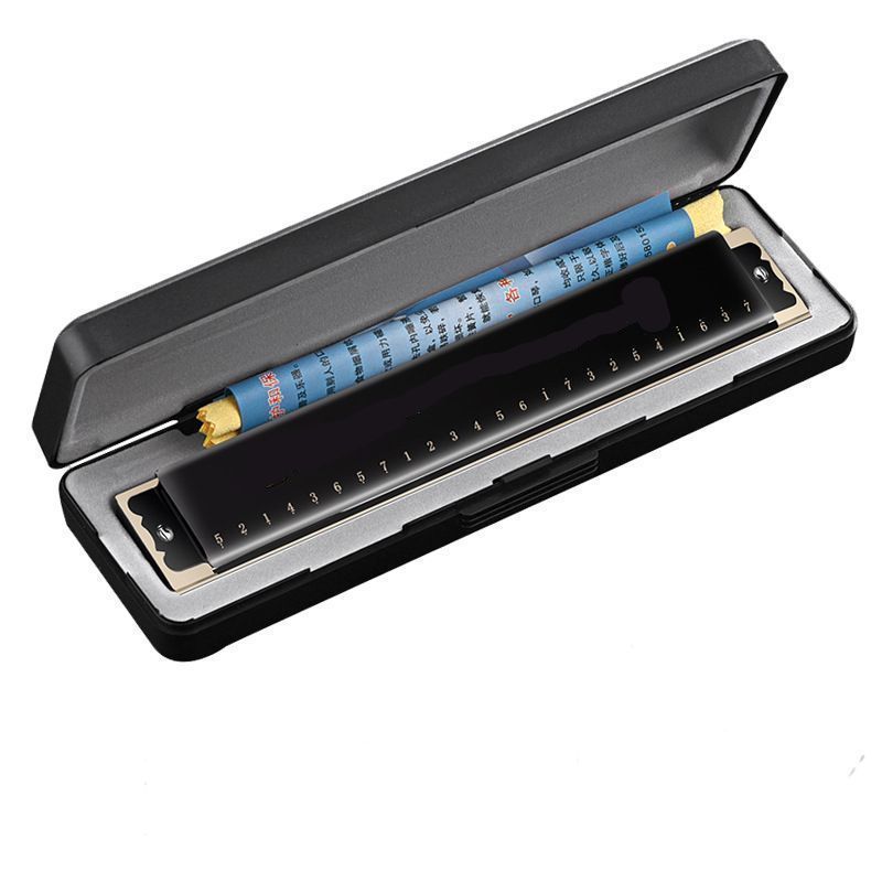 28-Hole 24-Hole Polyphonic C Key Harmonica Beginner Entry Student Children Adult Accent Professional Performance Level