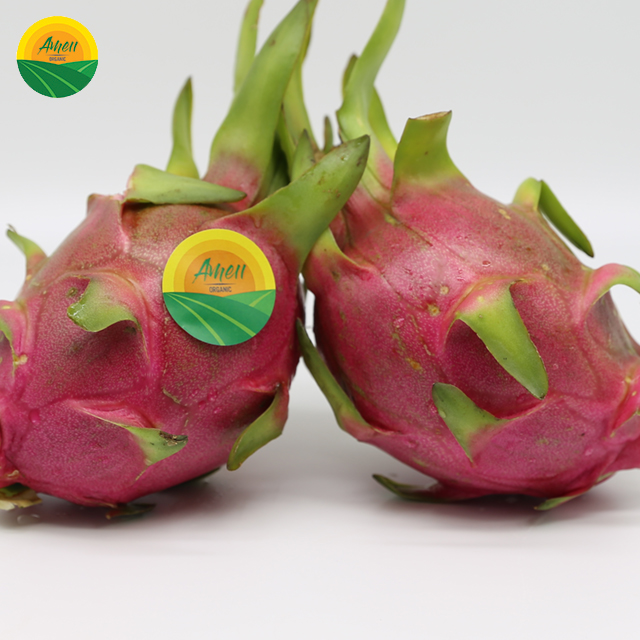 PINK RED SKIN, SWEET DRAGON FRUIT FOR SALES
