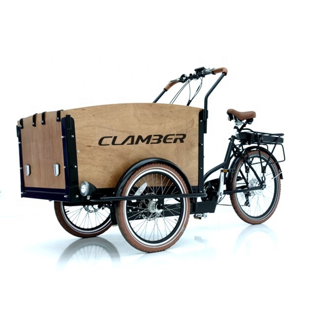 3 wheels hot sale electric cargo tricycle family cargo e- bike factory directly sell