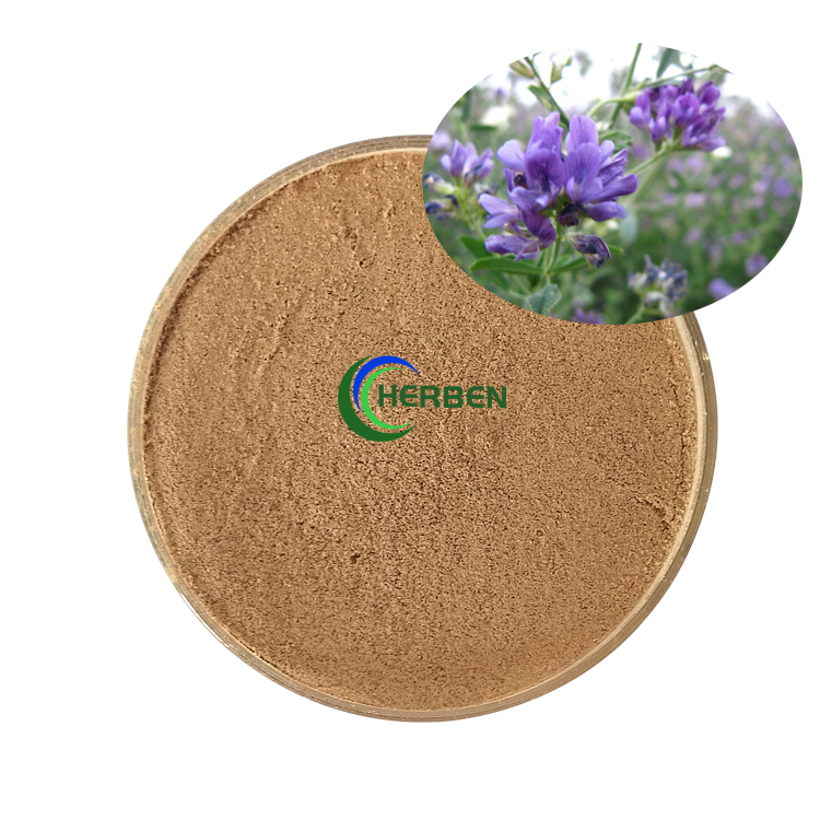 Herbal extract Melilotus Officinalis Extract Melilot Extract