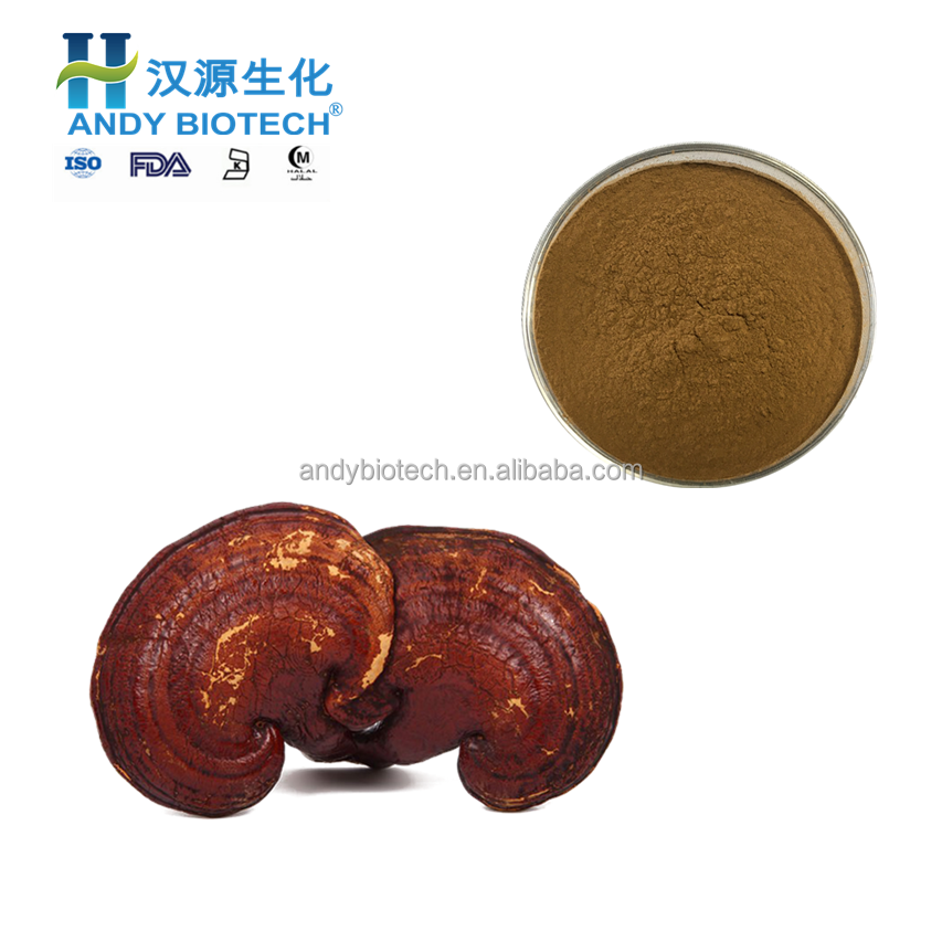 100% натуральный чистый полисахарид, экстракт грибов lingzhi, порошок ganoderma lucidum