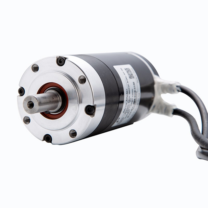 100W DC 24V 1000 encorder channel gate хороший Серводвигатель бесщеточный Серводвигатель продукт