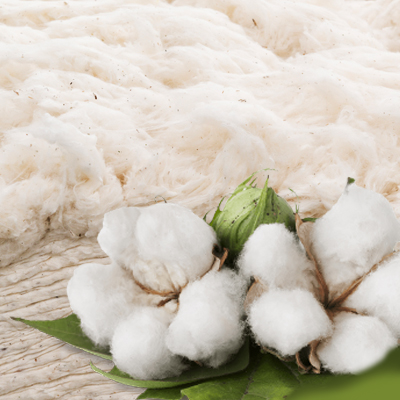 Sudanese Pure Cotton Export Quality natural 100% cotton