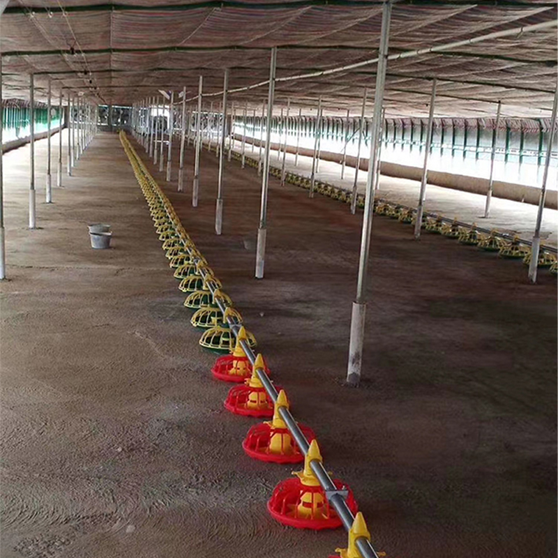 2024 Automatic Chicken Feeder Trays Poultry Farming Animal Feeders with Convenient Automatic Feeding System