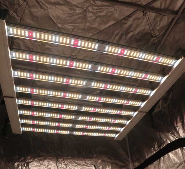 Full spectrum foldable led grow light for indoor medical plants