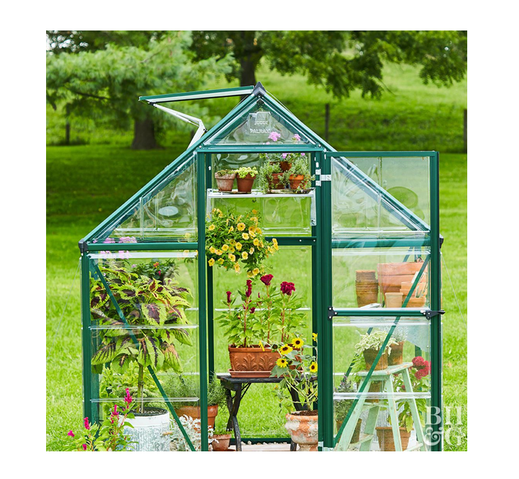 Low Price PC board Garden Mini Greenhouse Walk in Greenhouse Hot galvanized steel structure greenhouse