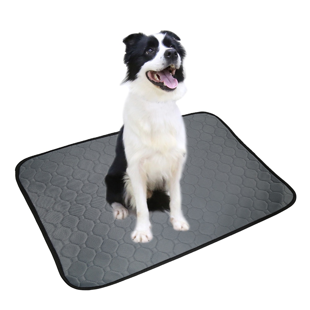 Leak-proof High Absorbent Disposable Dog Training Pee Incontinence Under Pad For Puppy