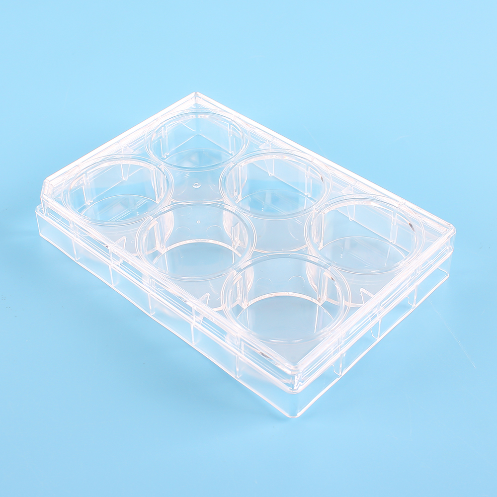 Factory Direct Tissue Culture Plate 6-well with Non-slip Base