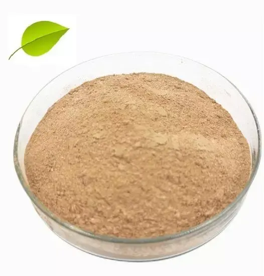 Hot Sale Bacillus Subtilis Probiotics Microbial Agent Organic Bio Fertilizer