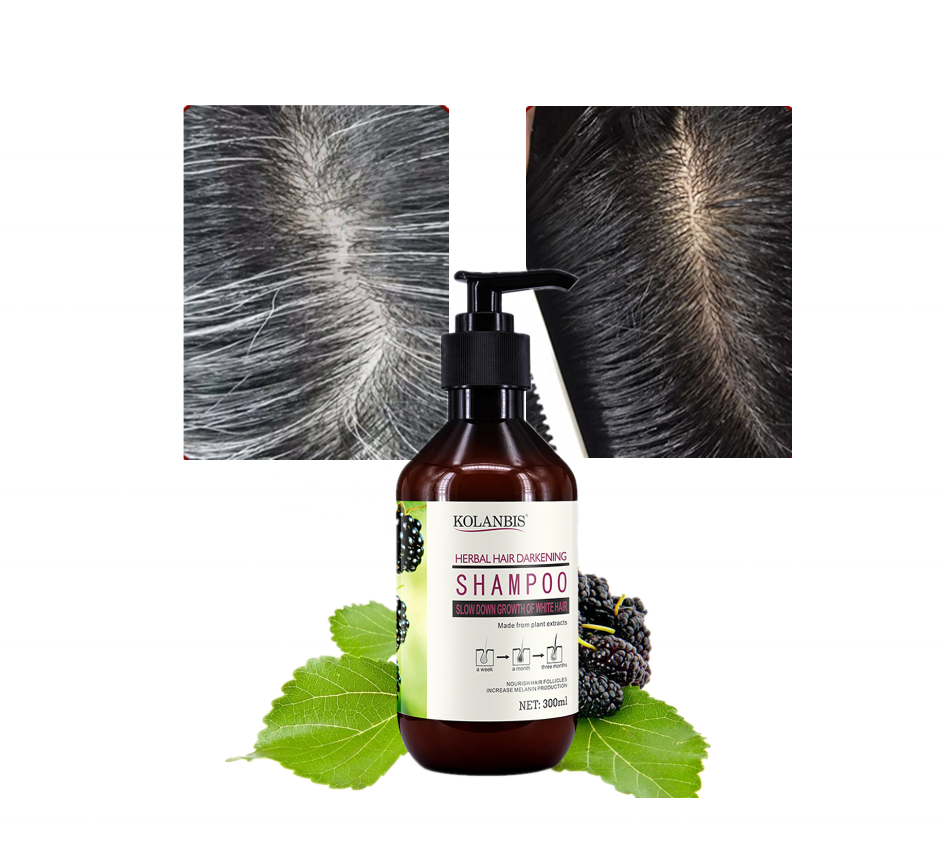 Magical Black Hair Shampoo Treatment Men's Hair Care Products KOLANBIS