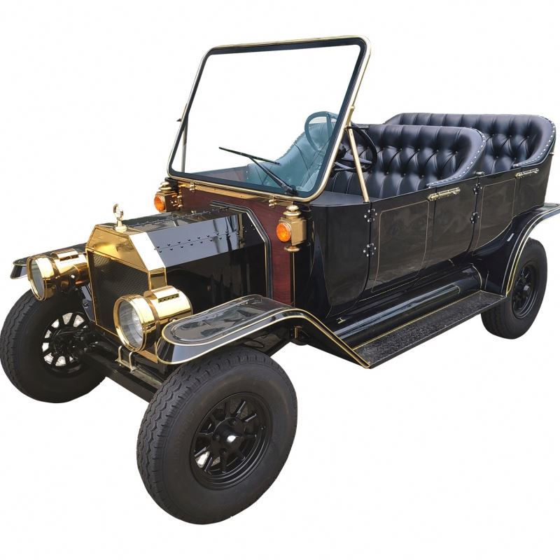 Chinese manufacturer Bubble car/electric vintage classic vehicle