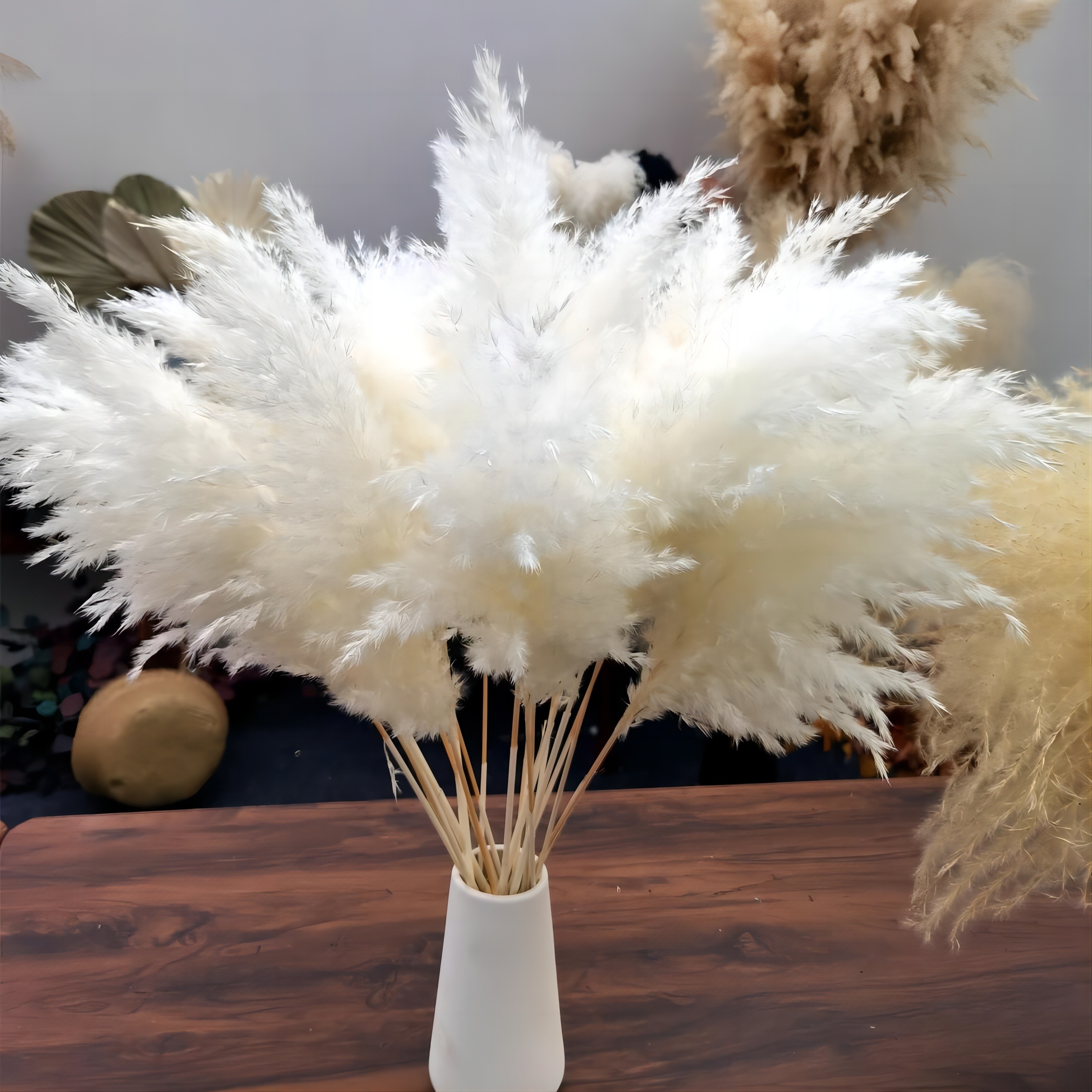White Pampas Grass Bunch Festival Christmas Ornaments Wedding Fluffy Dried Bundle Real Natural Wild Luxury Pampas