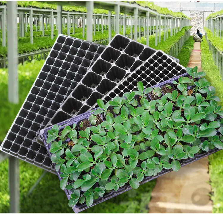DDA329 Durable 21/32/50/72/105/128 Cells Flower Vegetables Plant Germination Growing Seedling Trays Garden Nursery Tray