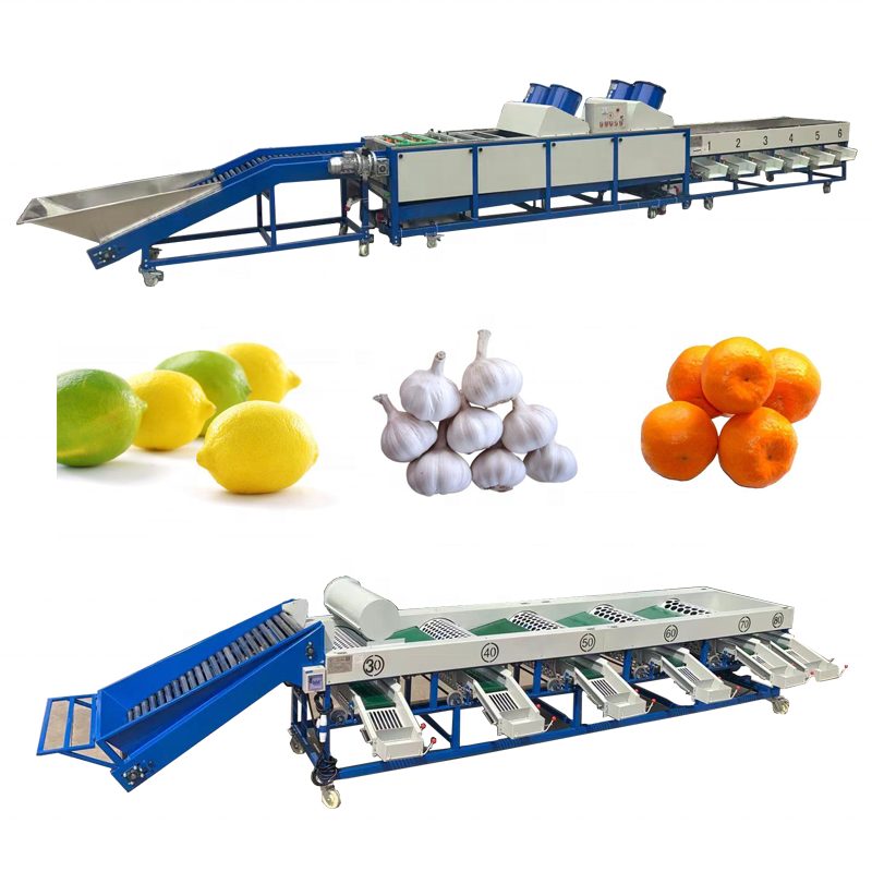 Vegetables garlic sorting grading machine