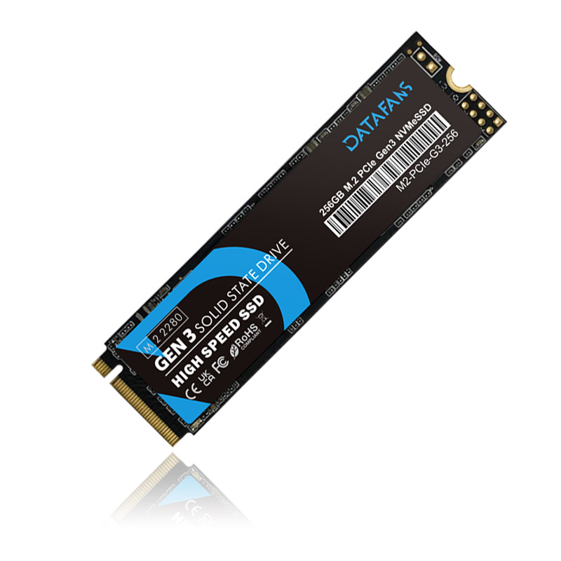 DATAFANS SOLID STATE DRIVE 256GB - NVMe M.2 PCIe Gen3x4 2280 SSD